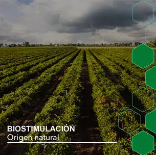 Biostimulación de Origen Natural