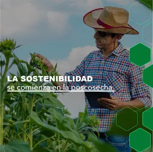 La nutrición de poscosecha es clave para una agricultura sostenible