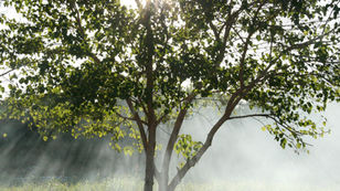 Scripture Reflection - March 1, 2026