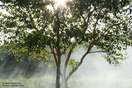 How to Hear from God