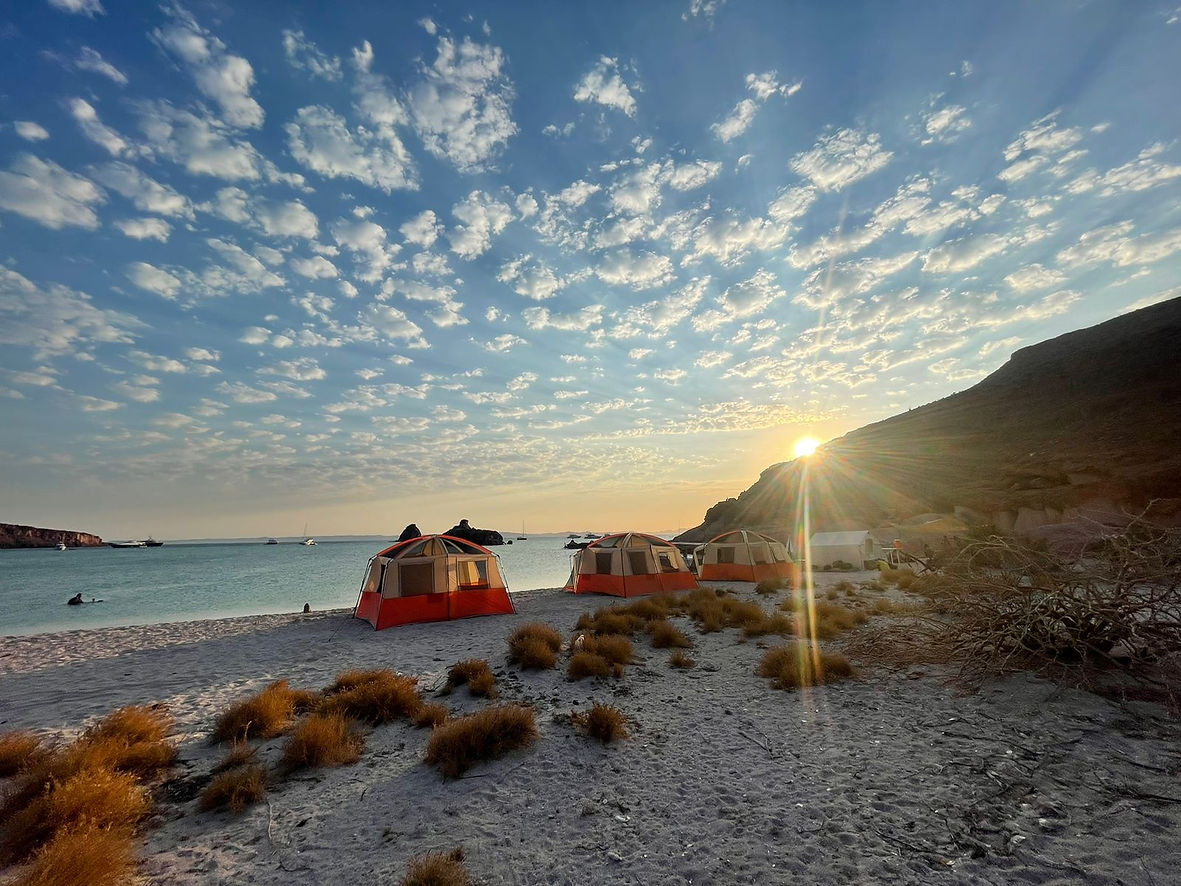 Baja California Expedition
