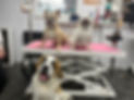 image7.jpeg