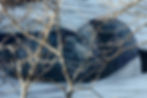 Couvent0220-18.jpg