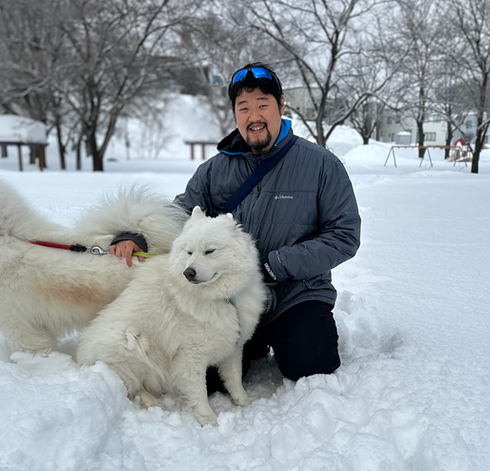 Koka & Mochi Samoyed brothers