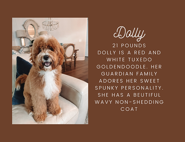 Copy of Copy of June-2.png