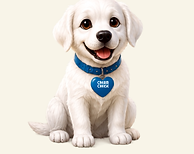 Cream Cheese, the curious Labrador puppy from JerriArt Books®.