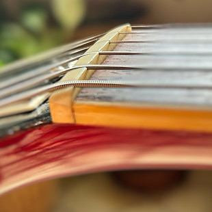 Tokai SG 60 | SiaVintageGuitars