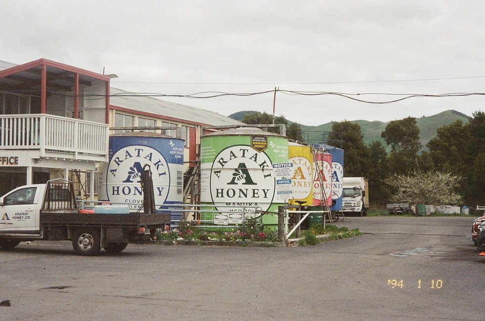 Kiwi Kai Kronicles: My Favorite New Zealand North Island Eats (thus far...)