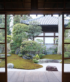 DSC01591_edited.jpg