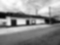 IMG_4934.jpeg