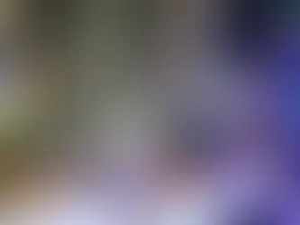 Cultura | Oficinas musicais gratuitas no Espaço Sertãoperifa levam cultura nordestina à periferia paulistana