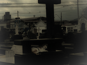 Cultura | A São Paulo sobrenatural ganha voz em contação de histórias na Paulista