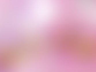 에스더버니 슬림 파우치 세트