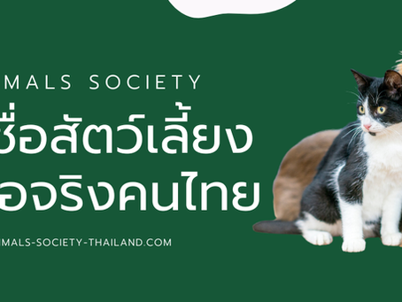 ชื่อสัตว์เลี้ยงแบบไทย