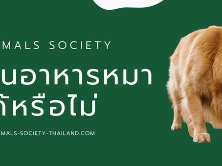 หมากินอาหารแมวได้ไหม