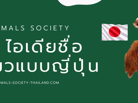 ชื่อสัตว์เลี้ยงแบบญี่ปุ่น