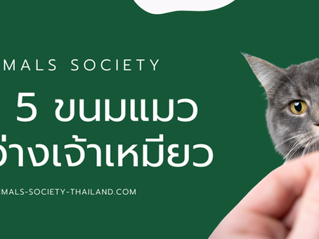 อาหารว่างแมว หนมแมว