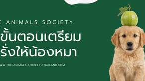 หมากินฝรั่งได้ไหม