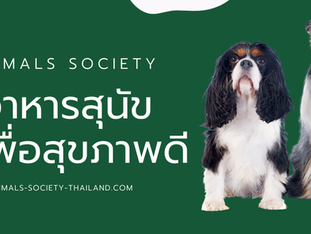 อาหารสุนัข