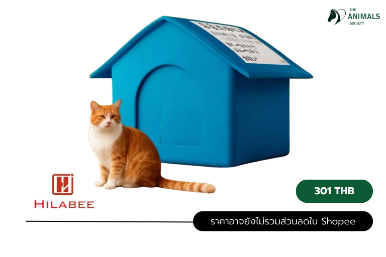 Hilabee บ้านแมวนอกบ้าน สไตล์มินิมอล