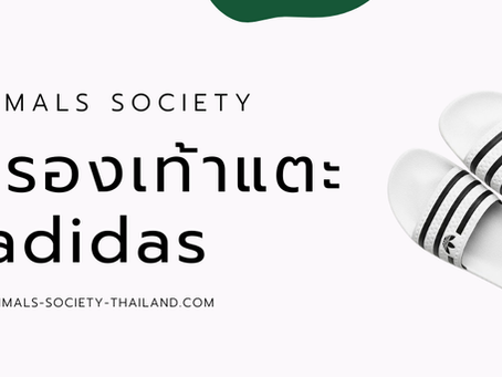 รองเท้าแตะ adidas