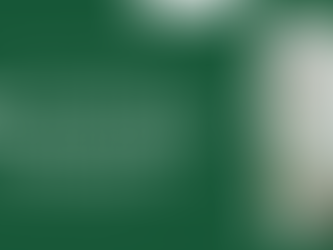 ทำไมหมาพันธุ์บางแก้วถึงมีสีขาวล้วน