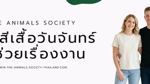 วันจันทร์ใส่เสื้อสีอะไร
