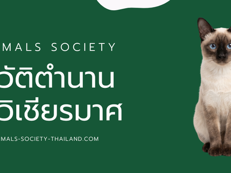 แมววิเชียรมาศไทย
