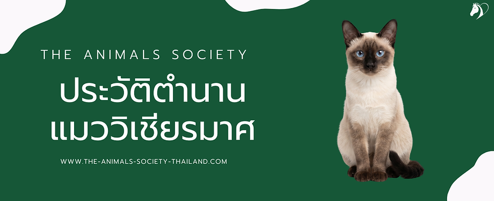 แมววิเชียรมาศไทย