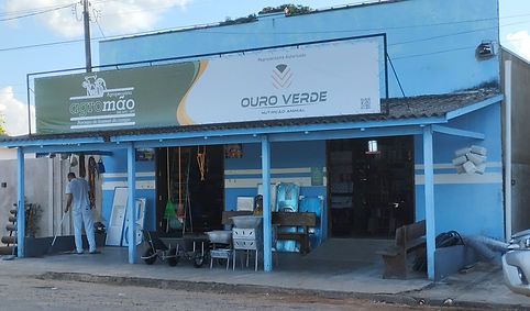 ESTRELA DE RONDÔNIA 8.jpg