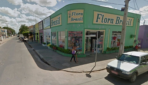Flora Brasil.jpg