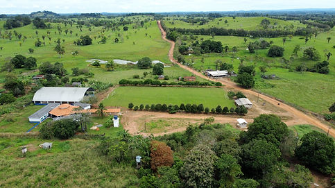 DJI_0711.JPG