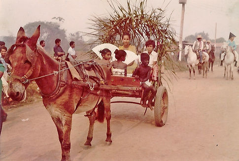 Desfile de 7 de setembro 1981, dessa vez eu de princesa Isabel. - Maria de Fátima Dutra 2