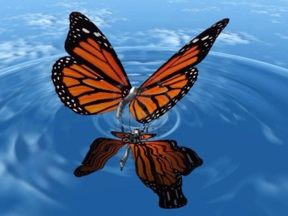 The Butterfly Effect: The Changing Winds on the SIEM Market