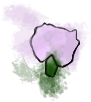 bud3.png