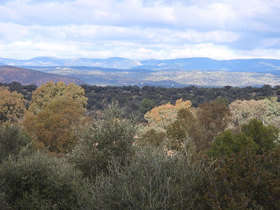 Paisaje Sierra de Andújar