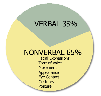 Agile/Scrum- Issues-Nonverbal/Verbal