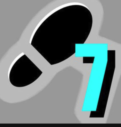 IT Projects and the Theory of Constraints (TOC)-Step Seven