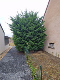 Création et Entretien
des espaces verts