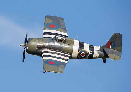5D3B1271.jpg