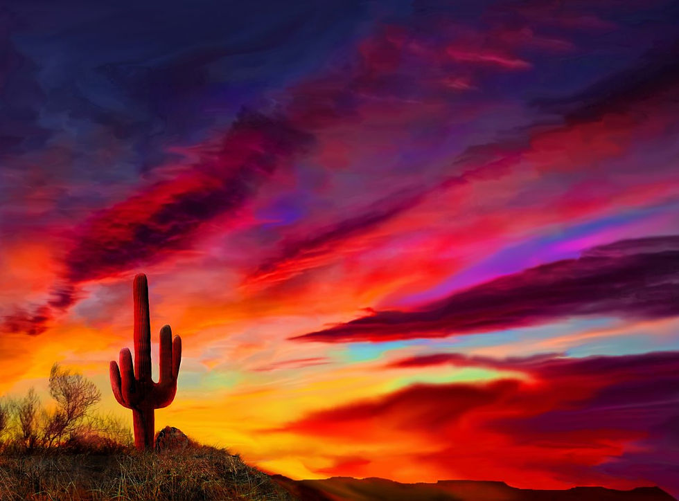 Melissa Sunset large.jpeg
