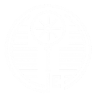 ChatGPT Image Jun 28, 2025, 12_00_32 PM_edited.png