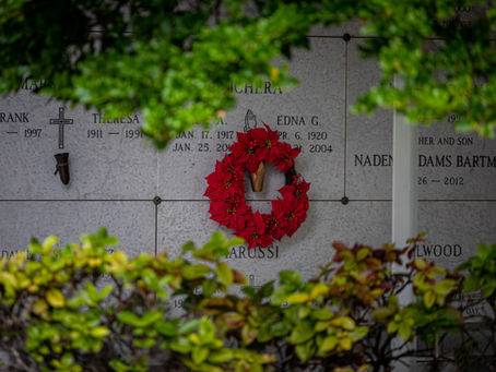 The Price of Freedom—A Veteran’s Warning to the Next Generation