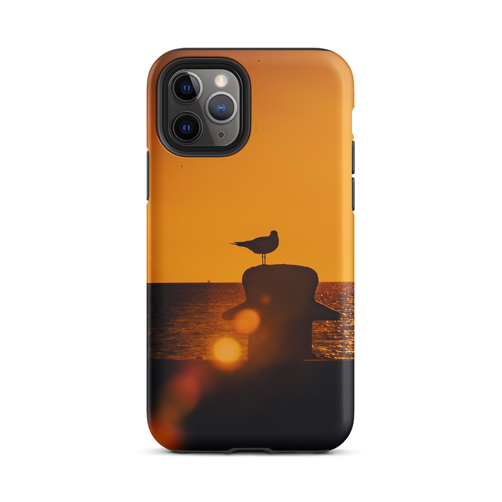 Thumbnail: Water Chicken Tough iPhone Case copy