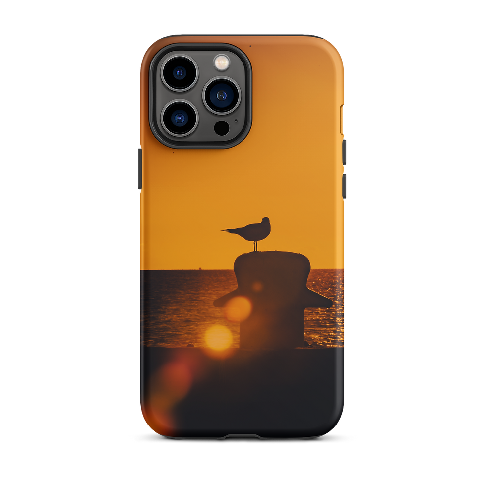 Thumbnail: Water Chicken Tough iPhone Case copy
