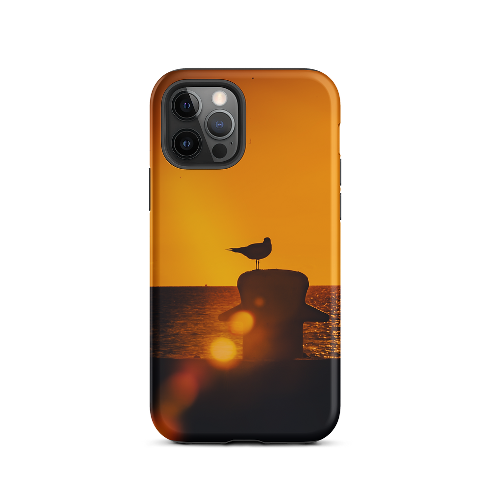 Thumbnail: Water Chicken Tough iPhone Case copy