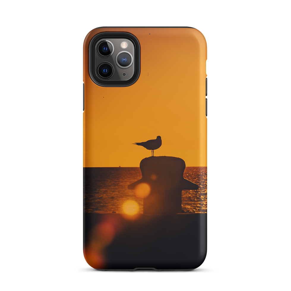 Thumbnail: Water Chicken Tough iPhone Case copy