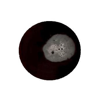 Animated coffee.gif