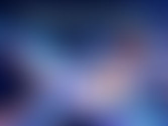 There Is No Timeline