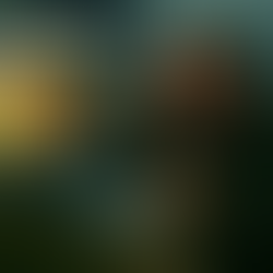 MELISSA OVER JAMAICA: A PERFECT, TERRIBLE MACHINE